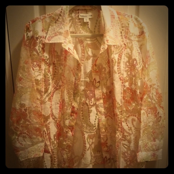 Semi sheer button down blouse - Picture 1 of 4